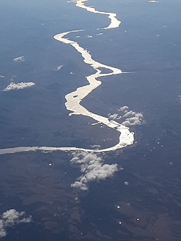 aerial shot of winding river