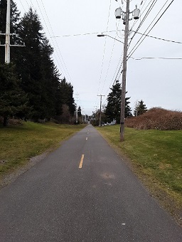 suburban road